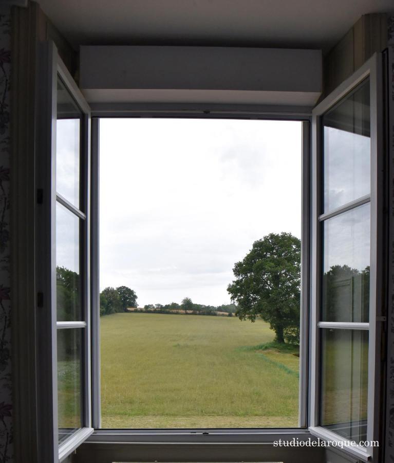 Bed and Breakfast Domaine De La Briouse Sanxay Exterior foto