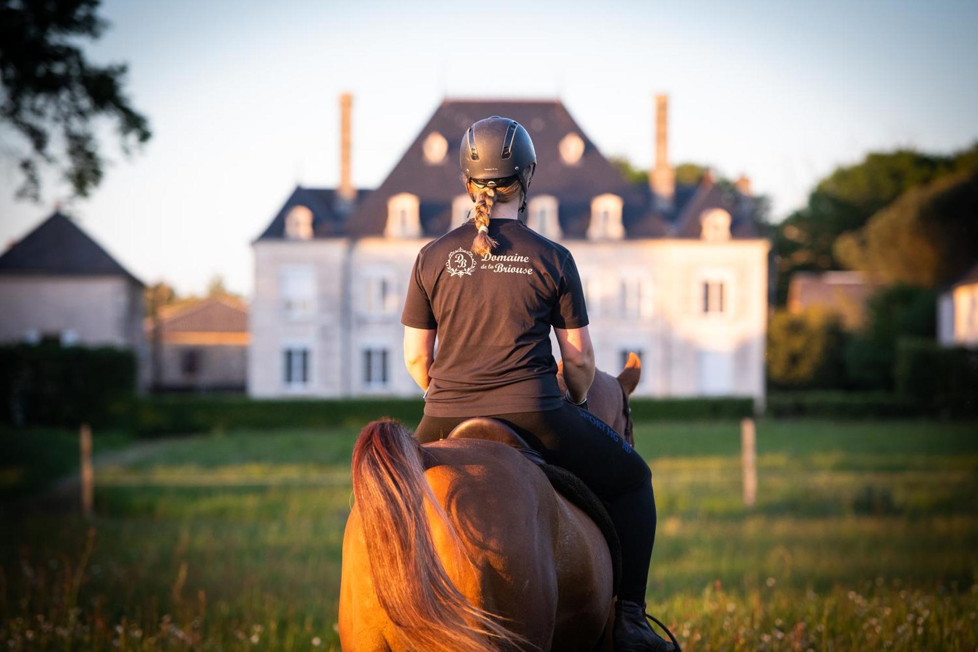 Bed and Breakfast Domaine De La Briouse Sanxay Exterior foto