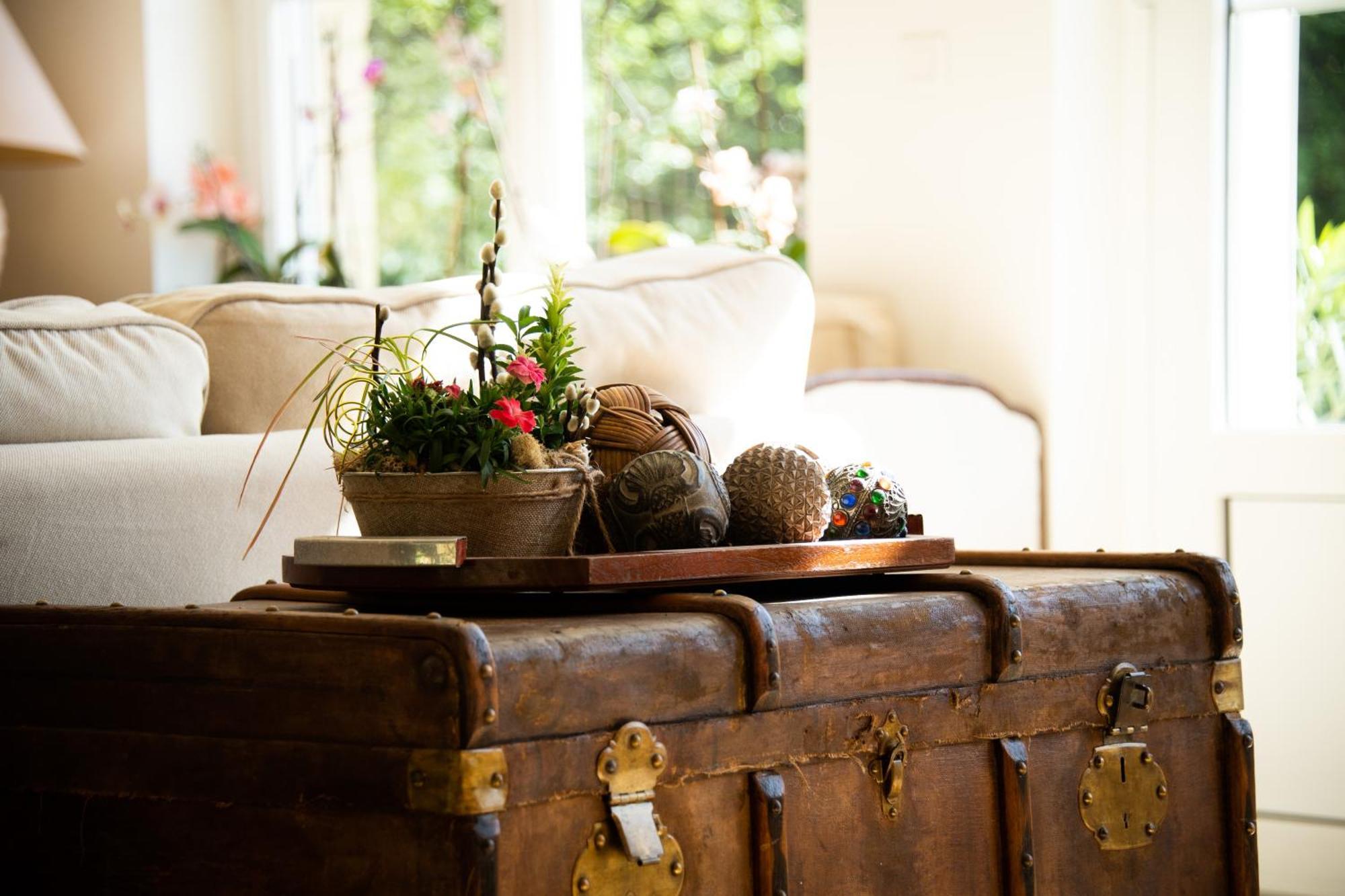 Bed and Breakfast Domaine De La Briouse Sanxay Exterior foto